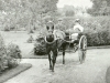 Hose & Trap with couple and child