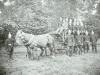 Bramley0033