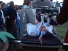 Pageant 4 ? Silver Jubilee