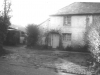 The Dixon's House (Yard)